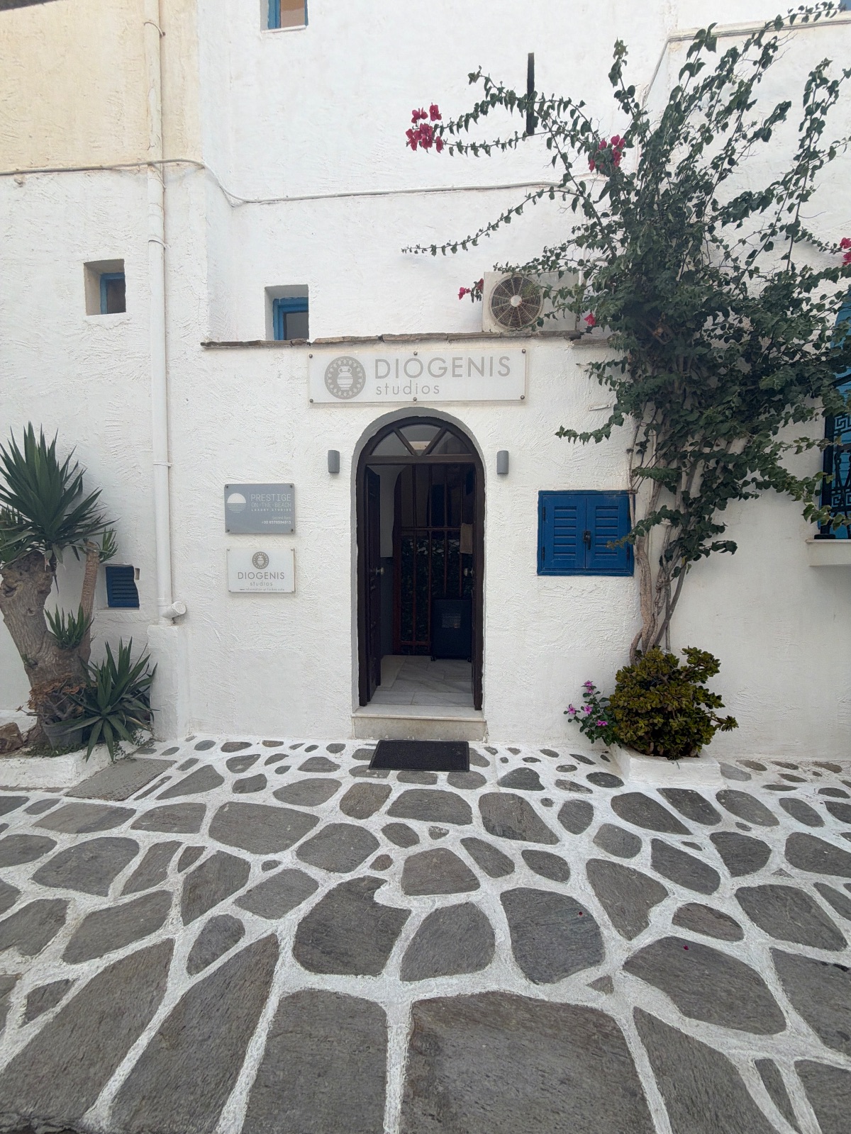 Diogenis Studio