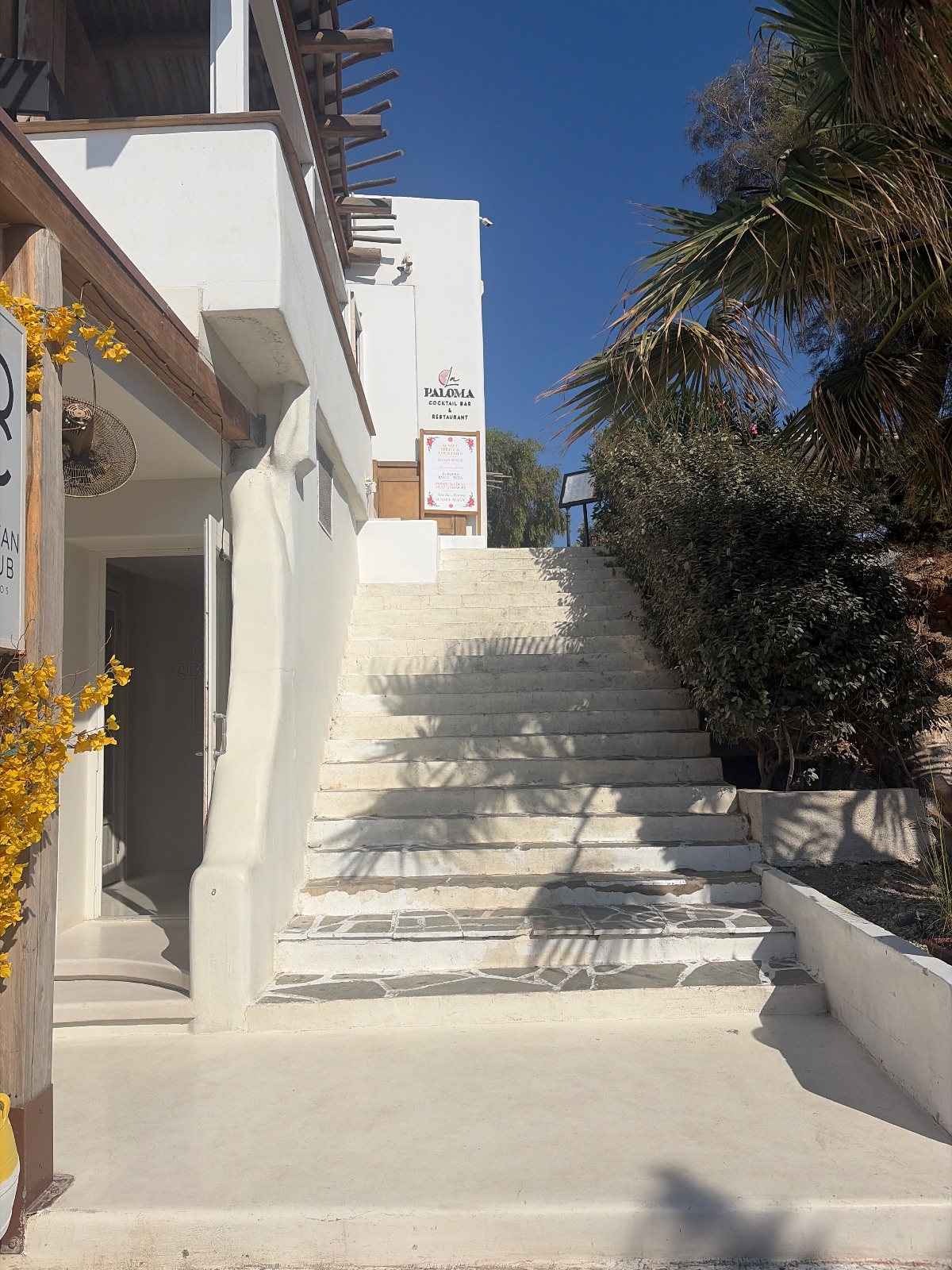 La Paloma